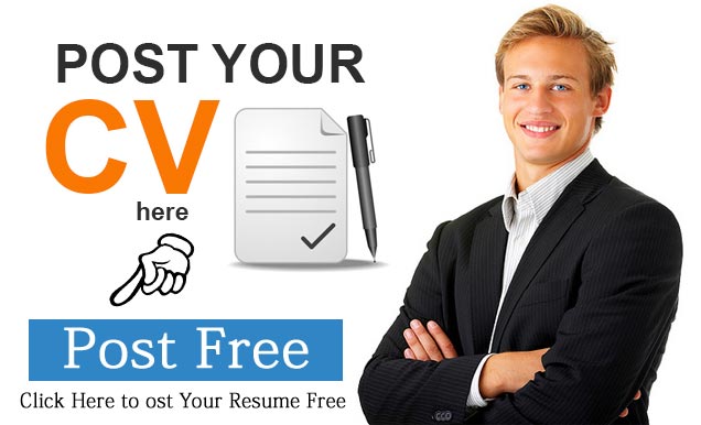 Resume instruction designers